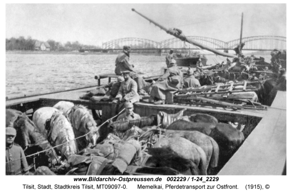 Tilsit, Memelkai, Pferdetransport zur Ostfront