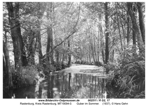 Rastenburg, Guber im Sommer