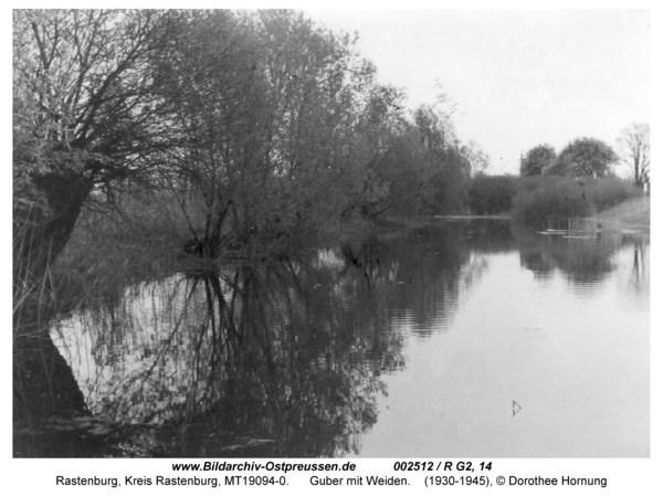 Rastenburg, Guber mit Weiden