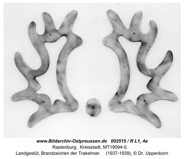 Rastenburg, Landgestüt, Brandzeichen der Trakehner