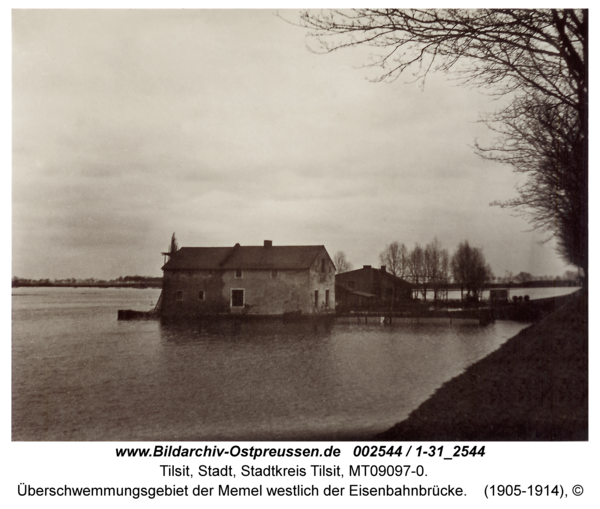 Tilsit, Überschwemmungsgebiet der Memel westlich der Eisenbahnbrücke