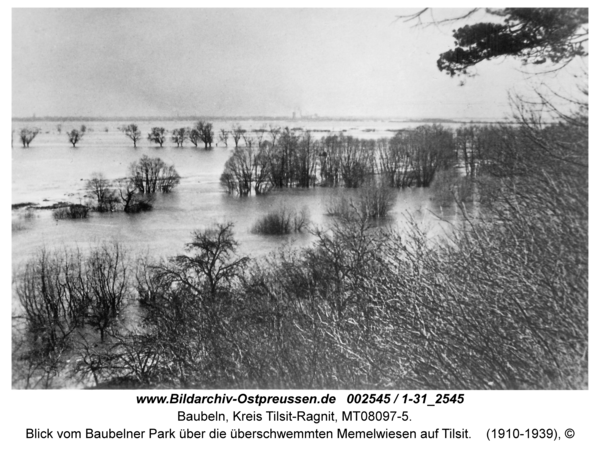 Baubeln Kr. Tilsit-Ragnit, Blick vom Baubelner Park über die überschwemmten Memelwiesen auf Tilsit