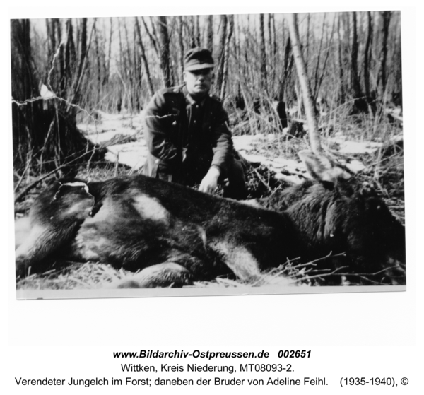 Wittken, Verendeter Jungelch im Forst; daneben der Bruder von Adeline Feihl