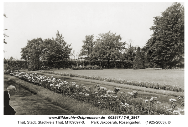 Tilsit, Park Jakobsruh, Rosengarten