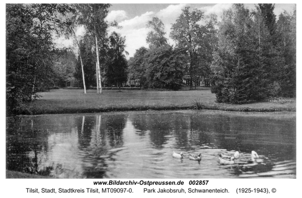 Tilsit, Park Jakobsruh, Schwanenteich