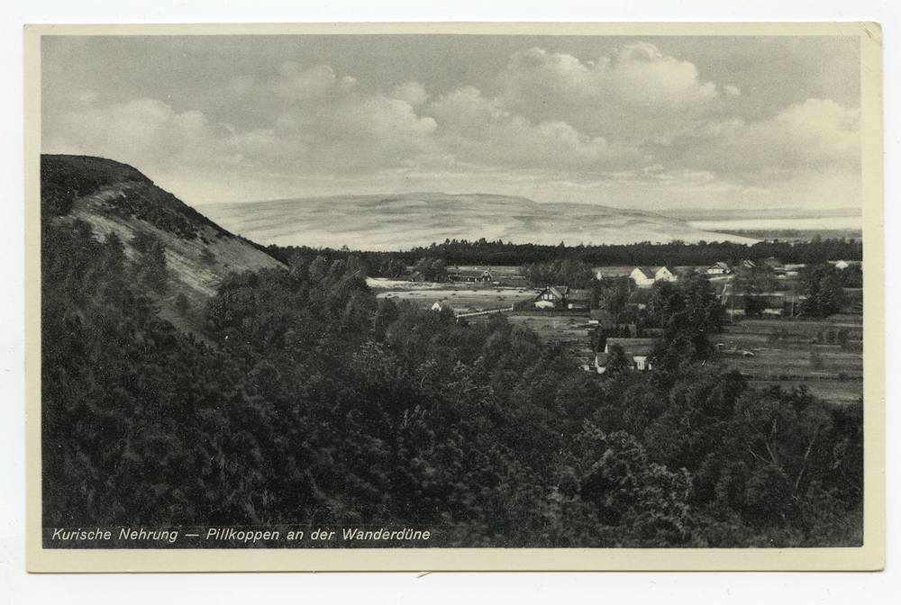 Pillkoppen, An der Wanderdüne