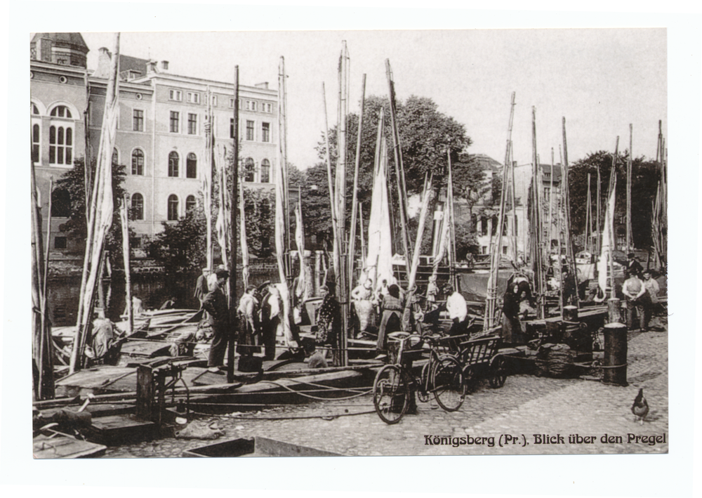 Königsberg (Pr.), Blick über den Pregel vom Oberen Fischmarkt auf das Stadtgymnasium Altstadt/Kneiphof