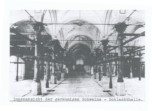 Königsberg, Schlachthof, Innenansicht der Schweine-Schlachthalle