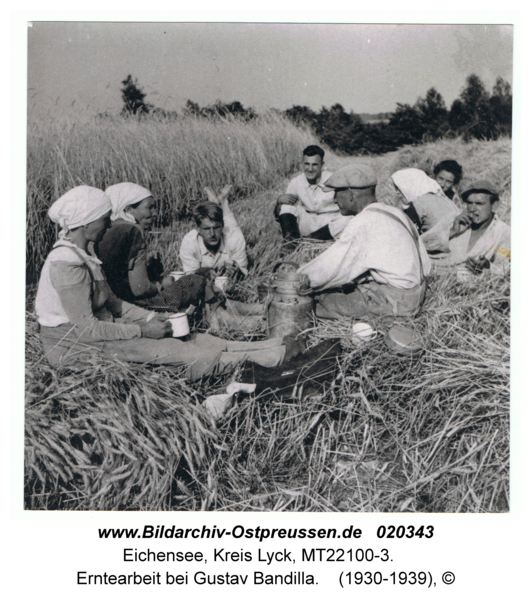 Eichensee, Erntearbeit bei Gustav Bandilla