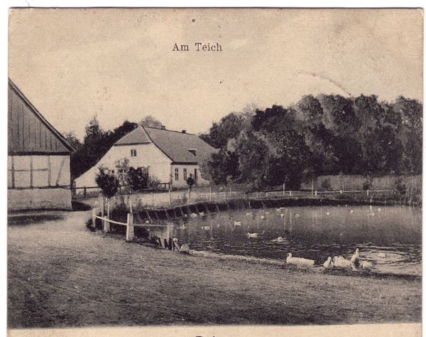 Balga, Am Teich