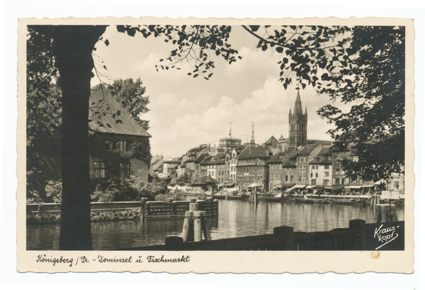 Königsberg, Blick zum Fischmarkt, links die alte Universität