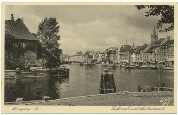 Königsberg, Blick zum Fischmarkt, links die alte Universität