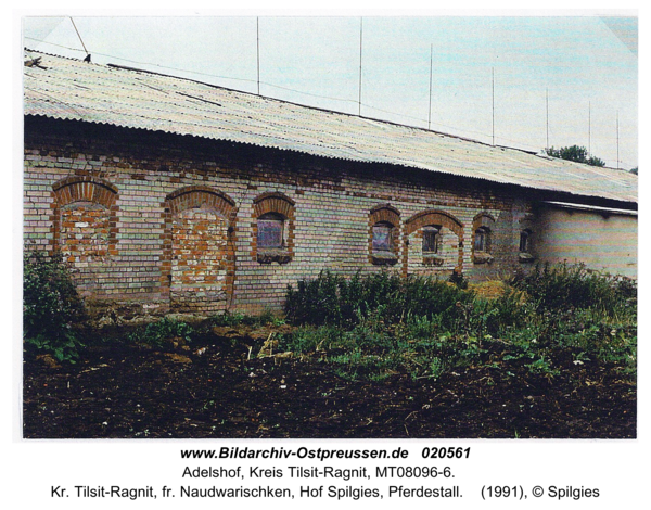 Adelshof, Kr. Tilsit-Ragnit, fr. Naudwarischken, Hof Spilgies, Pferdestall