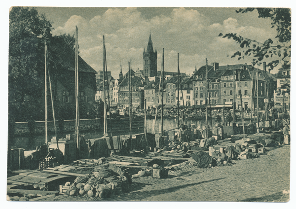 Königsberg, Gemüsemarkt am Pregel, Alte Universität