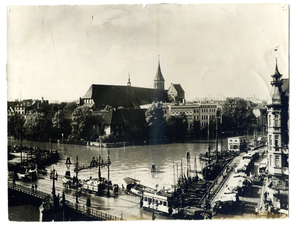 Königsberg, Dominsel mit Alter Universität