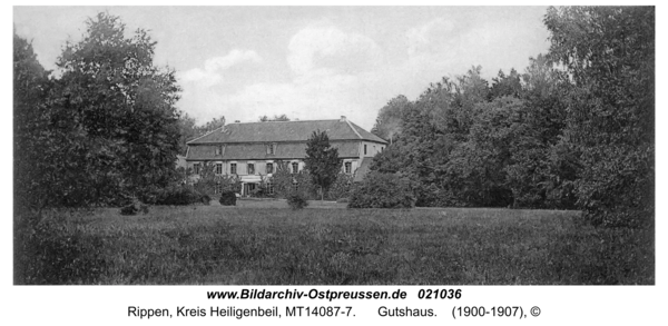 Rippen, Gutshaus