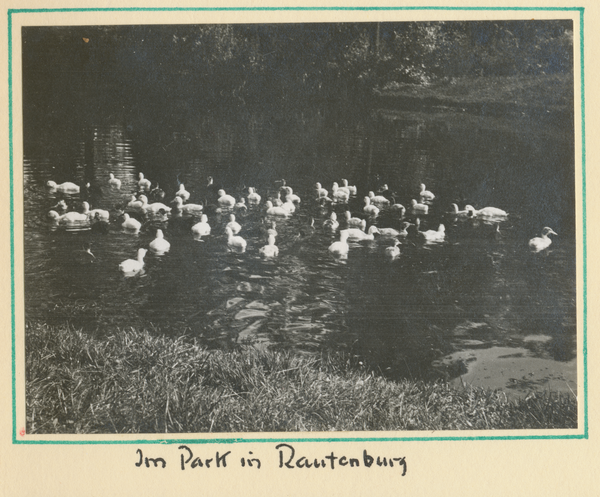 Rautenburg, Teich im Park