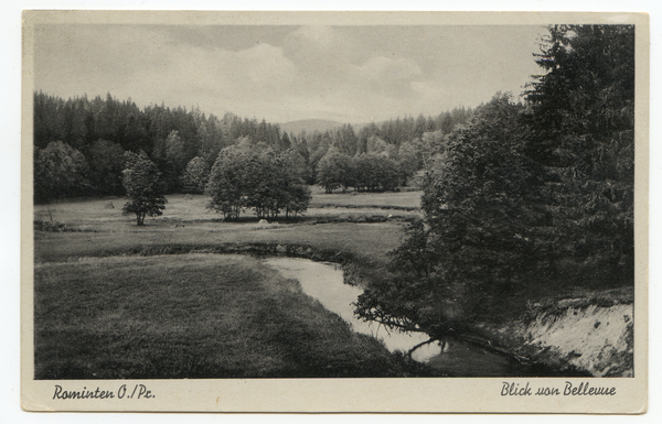 Rominter Heide, Blick von Bellevue