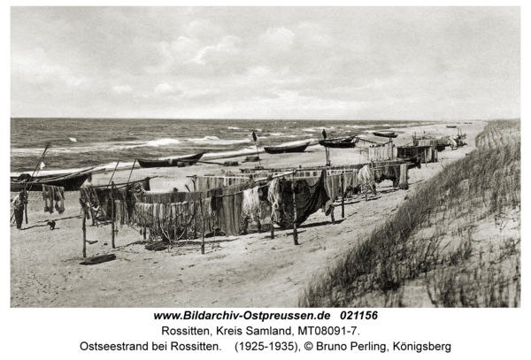 Rossitten Kr. Samland, Ostseestrand bei Rossitten