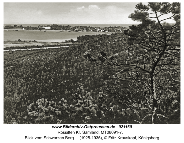 Rossitten Kr. Samland, Blick vom Schwarzen Berg