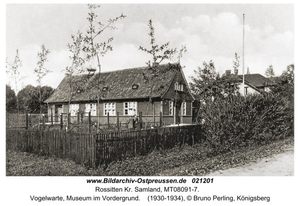 Rossitten Kr. Samland, Vogelwarte, Museum im Vordergrund