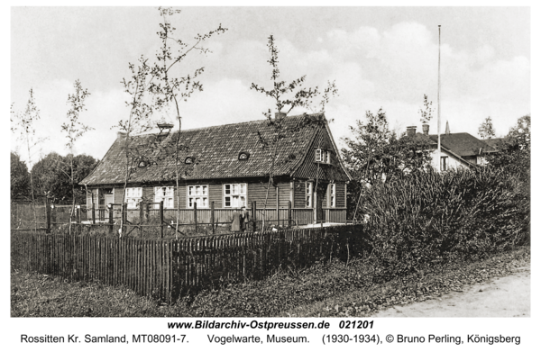 Rossitten Kr. Samland, Vogelwarte, Museum