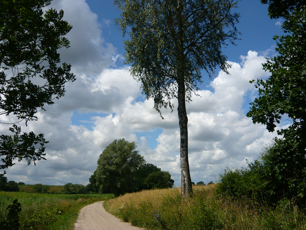 Schaulen, Soldatenfriedhof