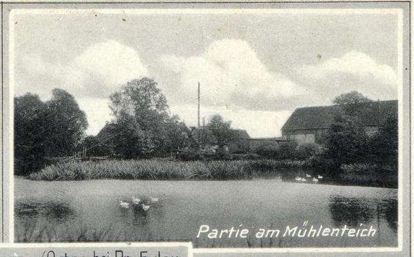 Schlauthienen, Partie am Mühlenteich