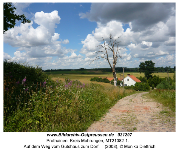 Prothainen, Auf dem Weg vom Gutshaus zum Dorf