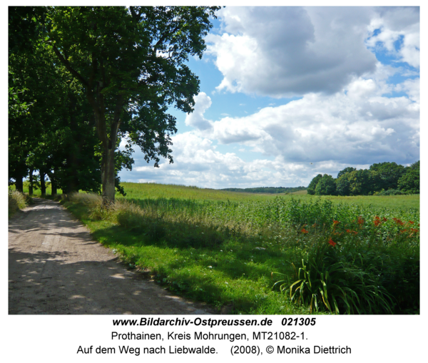 Prothainen, Auf dem Weg nach Liebwalde