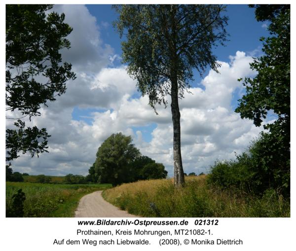 Prothainen, Auf dem Weg nach Liebwalde