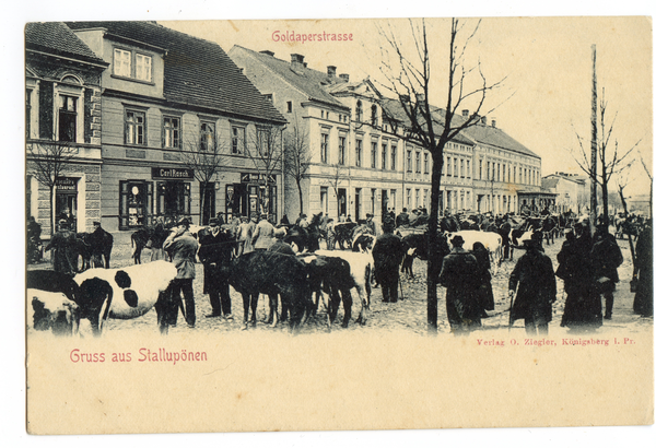 Stallupönen, Goldaper Straße, Viehmarkt