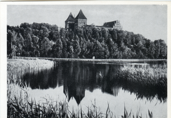 Neidenburg, Blick auf das Schloss