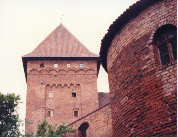 Neidenburg, Burg