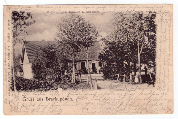 Brackupönen Krs. Gumbinnen, Etablissement L. Rammoser