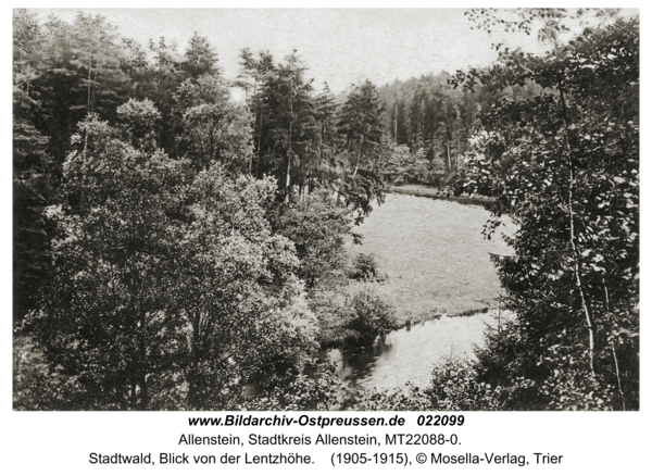 Allenstein, Stadtwald, Blick von der Lentzhöhe