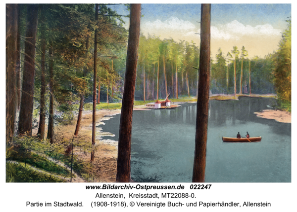Allenstein, Partie im Stadtwald