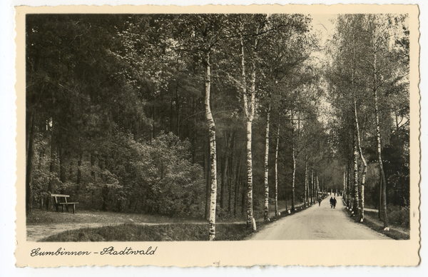 Gumbinnen, Stadtwald