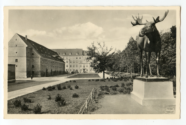 Gumbinnen, Magazinplatz, Anlagen mit Elch