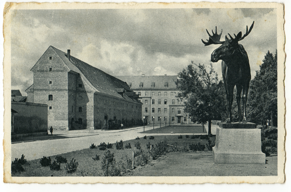 Gumbinnen, Magazinplatz mit Elch