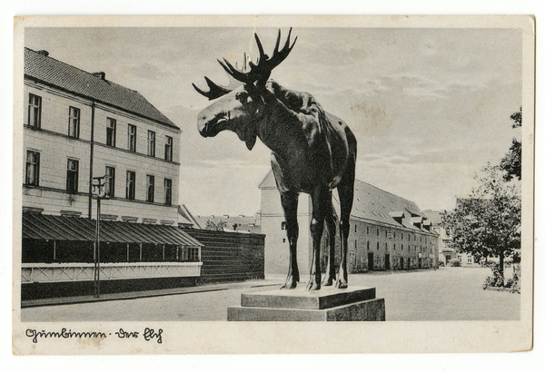 Gumbinnen, Der Elch