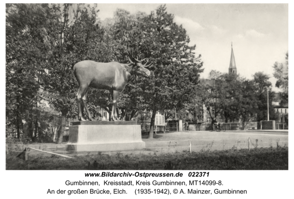 Gumbinnen, An der großen Brücke, Elch