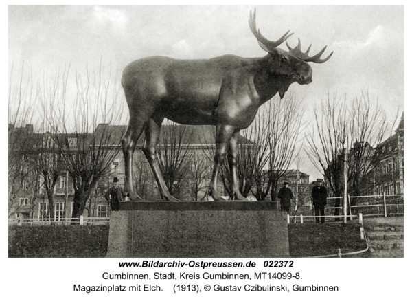 Gumbinnen, Magazinplatz mit Elch