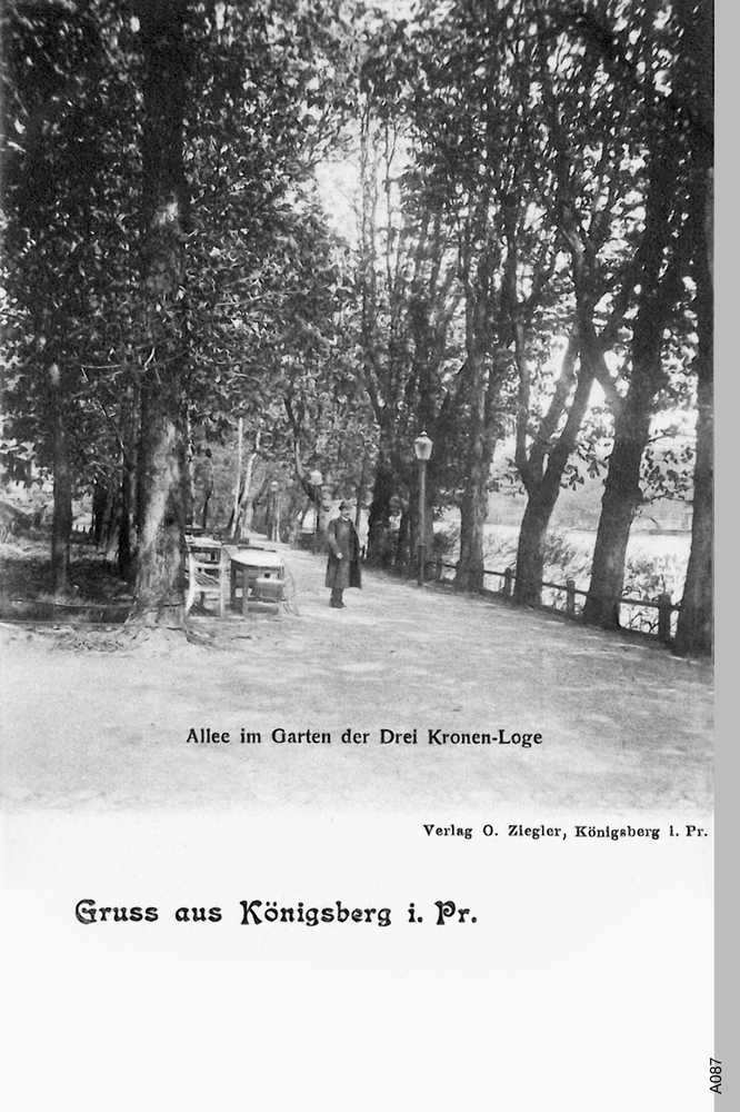 Königsberg, Allee im Garten der Drei Kronen Loge