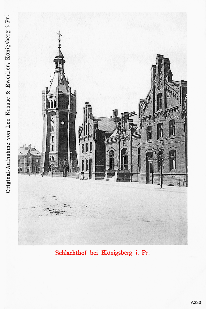 Königsberg, Schlachthof