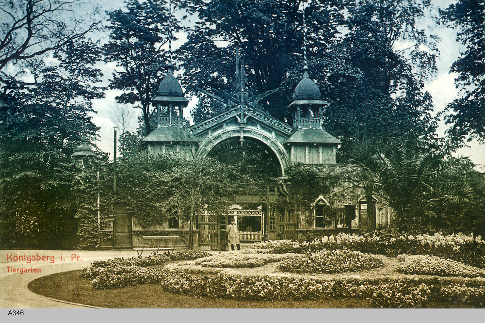 Königsberg, Tiergarten