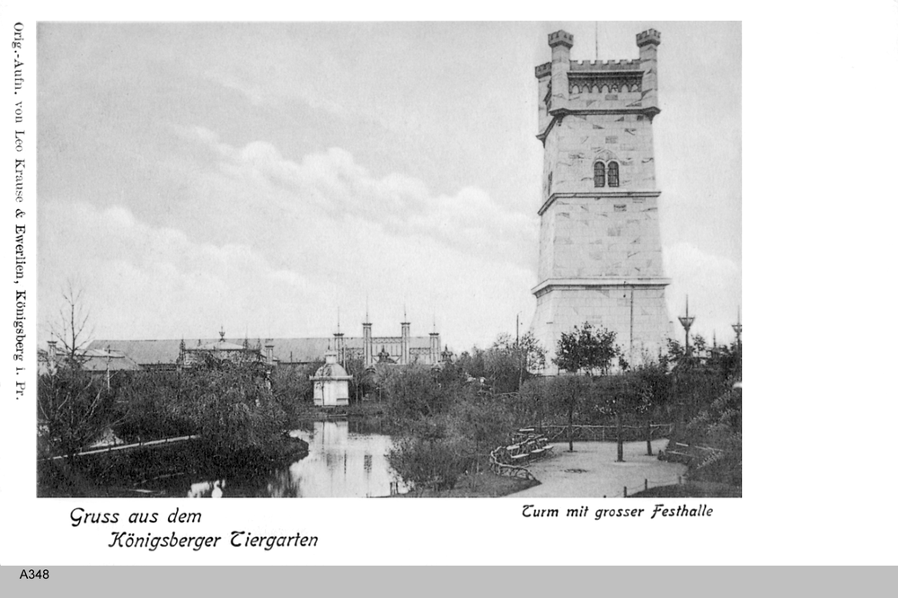 Königsberg, Tiergarten mit Aussichtsturm