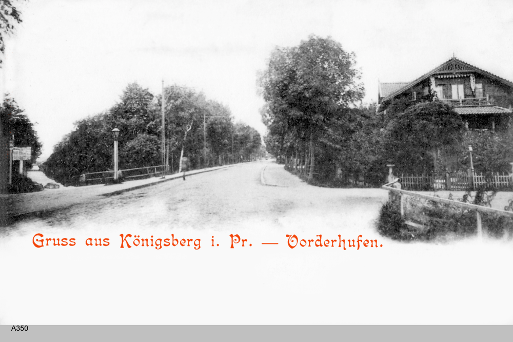 Königsberg, Vorderhufen