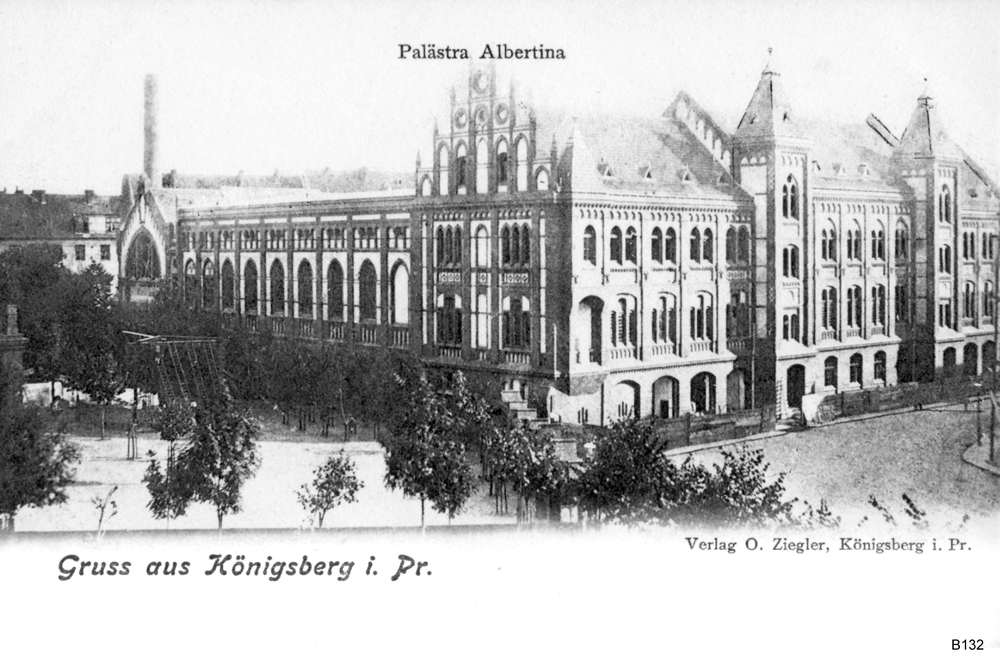 Königsberg, Palaestra Albertina