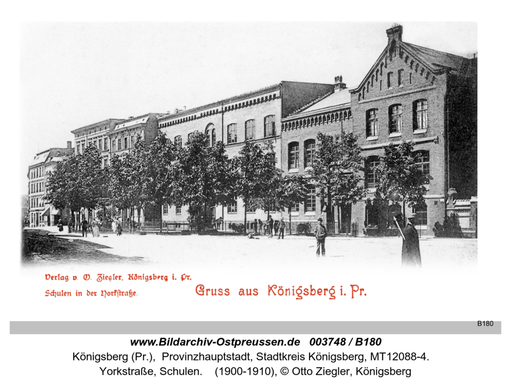 Königsberg (Pr.), Yorkstraße, Schulen